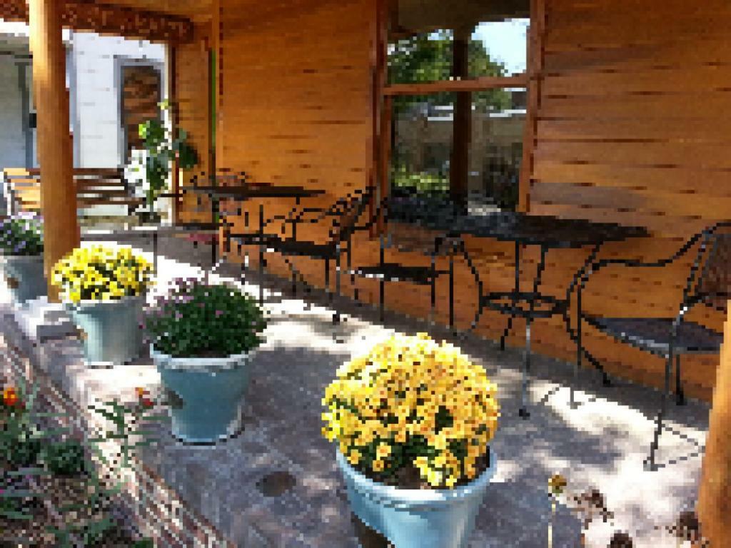 Persimmon Inn Bloomington Extérieur photo